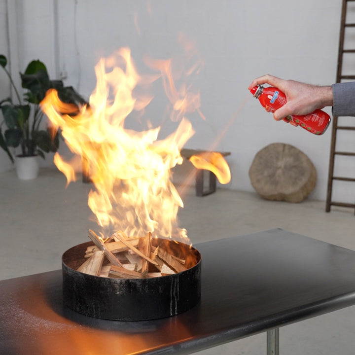 StaySafe All-in-1 Fire Extinguisher